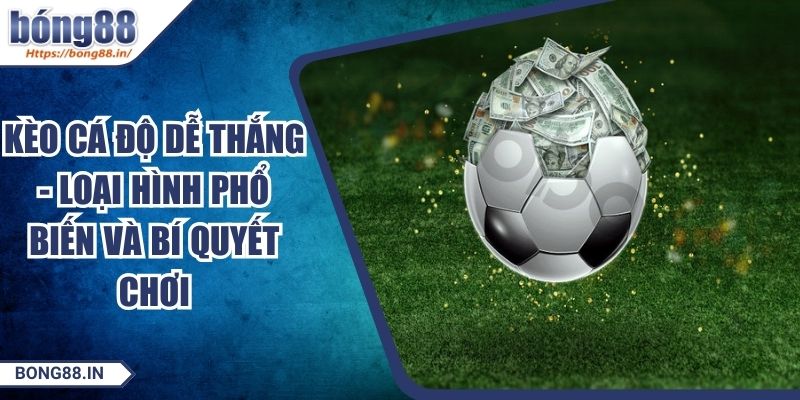 Kèo Cá Độ Dễ Thắng - Loại Hình Phổ Biến Và Bí Quyết Chơi 3 Kèo Cá Độ Dễ Thắng - Loại Hình Phổ Biến Và Bí Quyết Chơi