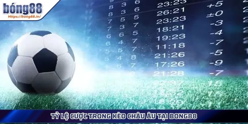 Kèo Châu Âu - Cách Đọc Chuẩn Và Mẹo Soi Kèo Hiệu Quả 3 Tỷ lệ cược trong kèo châu Âu tại BONG88