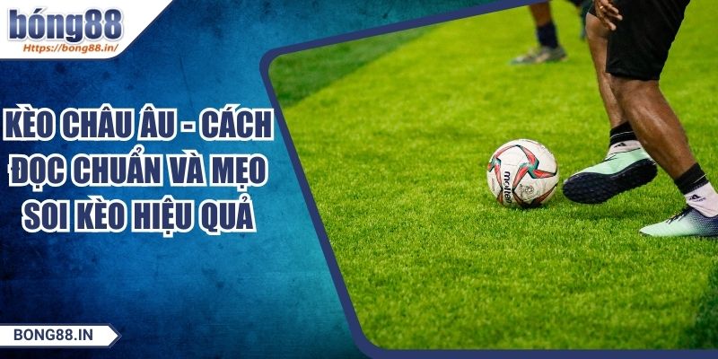Kèo Châu Âu - Cách Đọc Chuẩn Và Mẹo Soi Kèo Hiệu Quả 6 Kèo Châu Âu - Cách Đọc Chuẩn Và Mẹo Soi Kèo Hiệu Quả