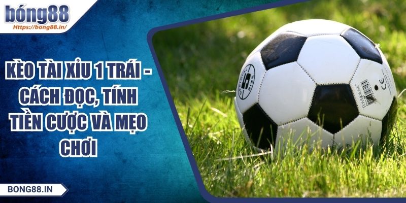 Kèo Tài Xỉu 1 Trái - Cách Đọc, Tính Tiền Cược Và Mẹo Chơi 1 Kèo Tài Xỉu 1 Trái - Cách Đọc, Tính Tiền Cược Và Mẹo Chơi