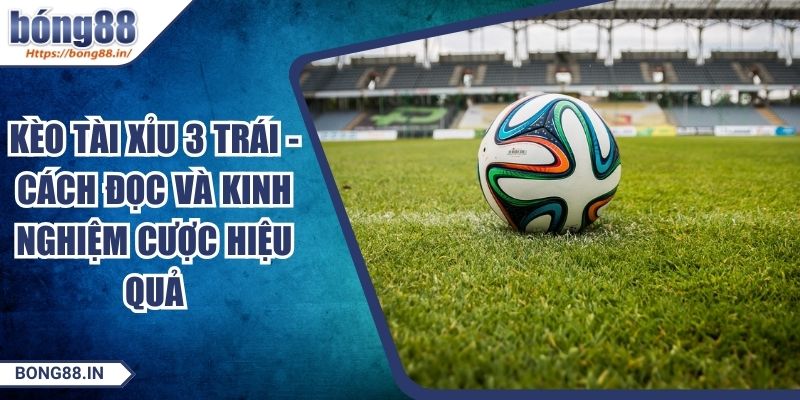 Kèo Tài Xỉu 3 Trái - Cách Đọc Và Kinh Nghiệm Cược Hiệu Quả